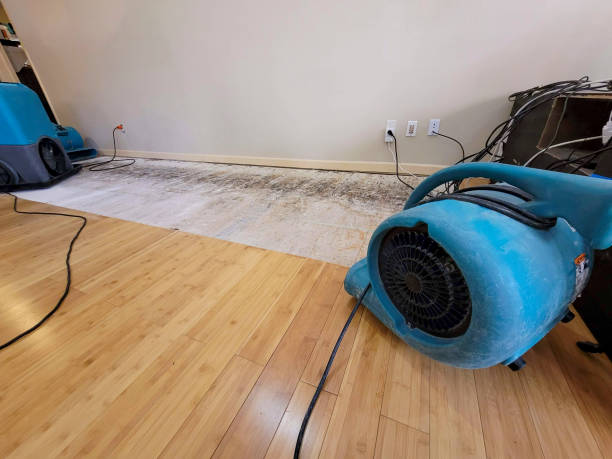 Professional Structural Drying technician working in Bozrah, CT